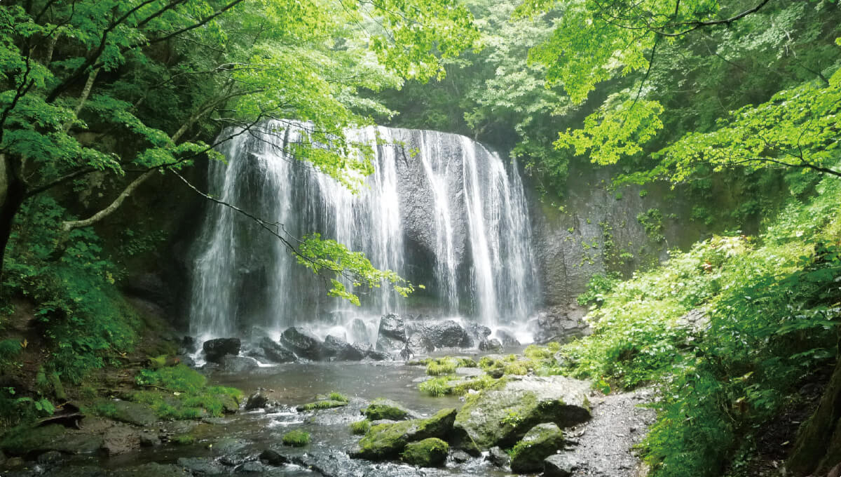 온천욕 × 삼림욕